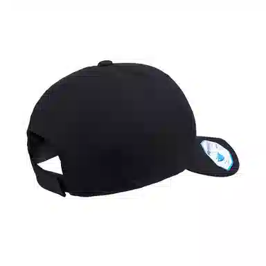 FLEXFIT 110 Series Cap
