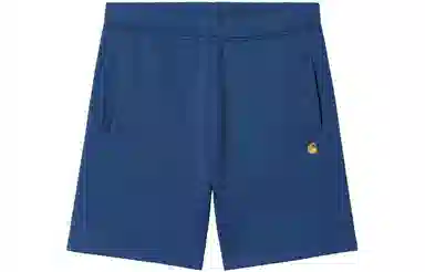 Carhartt WIP Shorts Blue