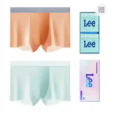 Lee 101 10A 2