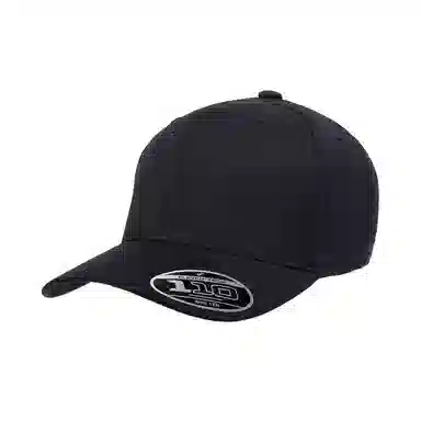 FLEXFIT 110 Series Cap