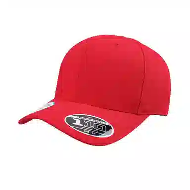 FLEXFIT 110 Series Cap