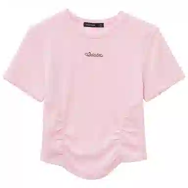 WESTLINK T