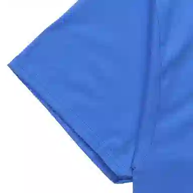 Champion T