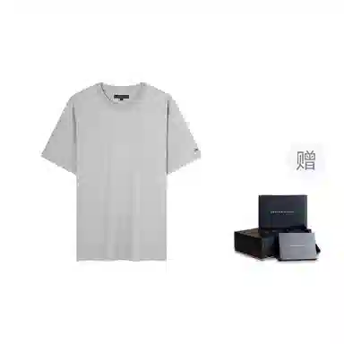 Tommy Hilfiger T