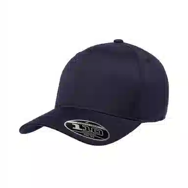 FLEXFIT 110 Series Cap