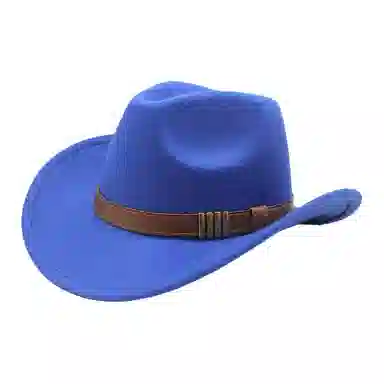 木林森 西部牛仔复古简约皮带佩饰宽帽檐遮阳户外出行显脸小盆帽防晒百搭 毛呢 渔夫帽 男女同款情侣款