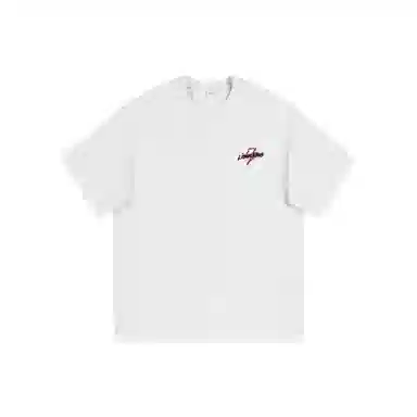 Lightning X Storm LogoT