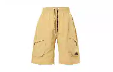 THE NORTH FACE MEN'S D4 CITY SHORTS - AP KHAKI STONE