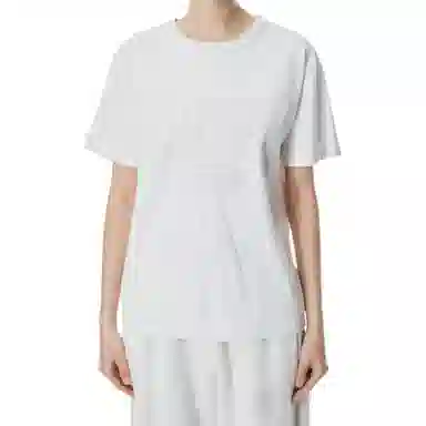 alexander wang T