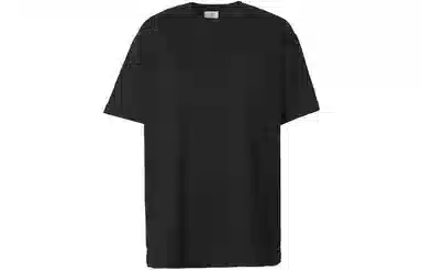 Burberry SS21 T