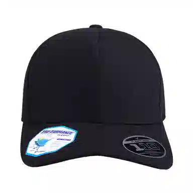 FLEXFIT 110 Series Cap