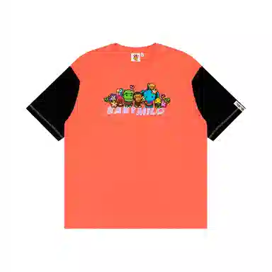 Aape T