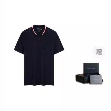 Tommy Hilfiger Polo