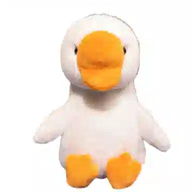 21cm30cm
