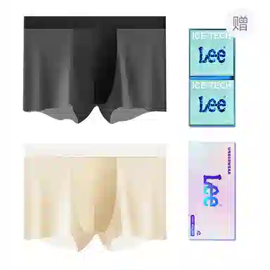 Lee 101 10A 2