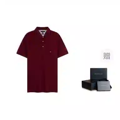 Tommy Hilfiger Polo