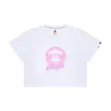 Aape T