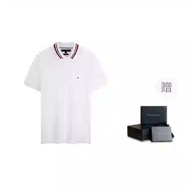 Tommy Hilfiger Polo