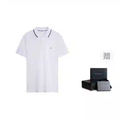 Tommy Hilfiger Polo