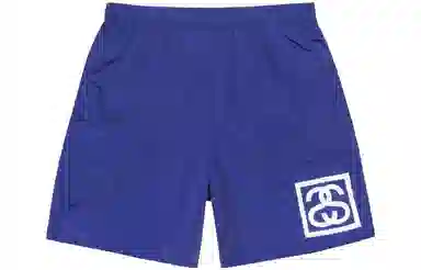 Stussy 2023 Logo