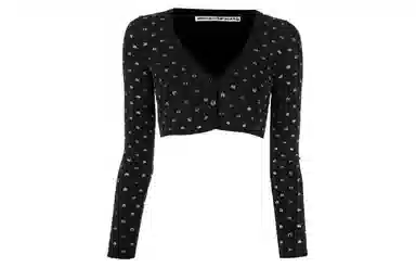 Alexander Wang FW22 Embellished V-Neck Cropped Knit Top Black