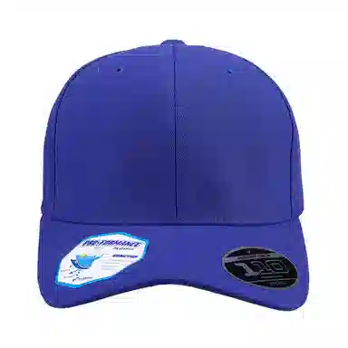 FLEXFIT 110 Series Cap