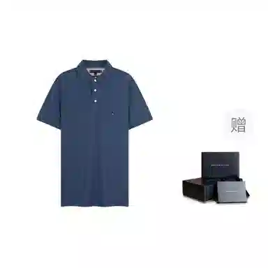 Tommy Hilfiger Polo
