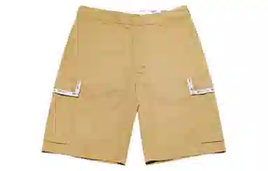 Dickies SS22