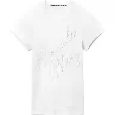 alexander wang FW24 T