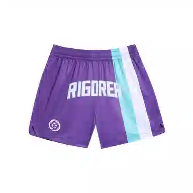 RIGORER