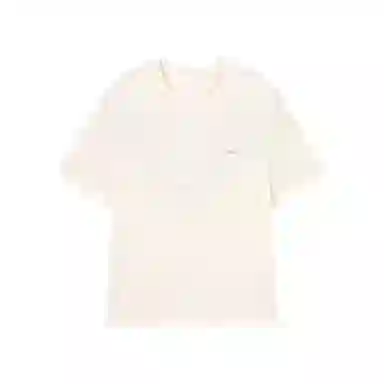 logo T DS