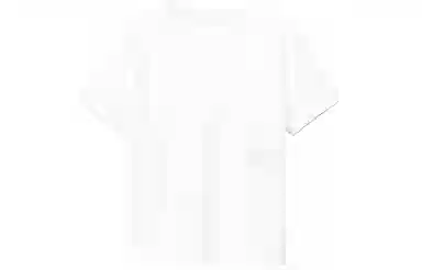 alexander wang SS22 T