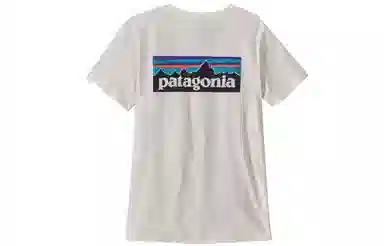 patagonia T