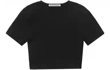 alexander wang T