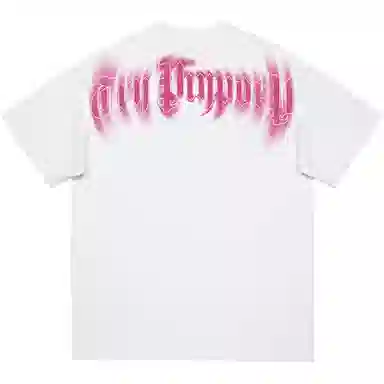 PISYPOX T