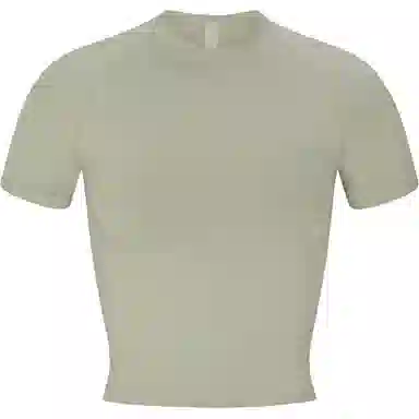 SKIMS NEW VINTAGE CROPPED RAGLAN HIGH NECK T-SHIRT T MINERAL