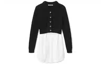 alexander wang SS22 V