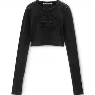 alexander wang FW24 T