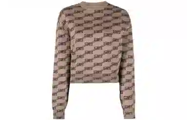 Balenciaga Sweater Brown