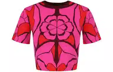 Alexander McQueen T