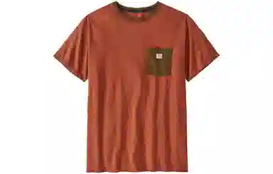 patagonia T