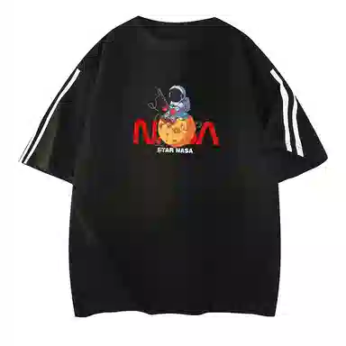 LSVE NASA T
