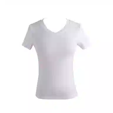 HEISU V T