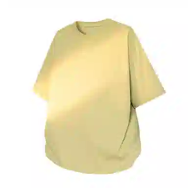 mula T