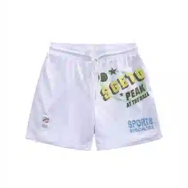 网眼字母大印花美式复古速干透气宽松直筒系带运动短篮球裤 男款