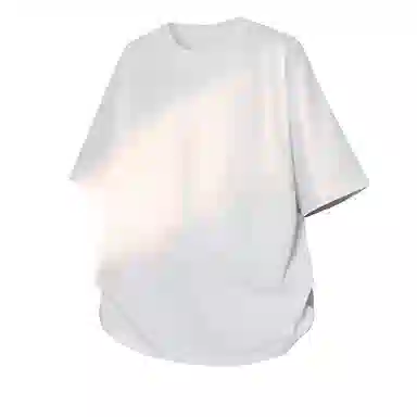 mula T