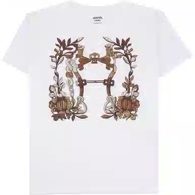 HERMES T