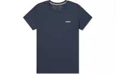 patagonia T