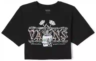 Vans T