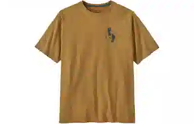 patagonia T